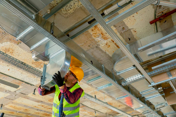 Best HVAC air duct cleaning  in Vla Grove, IL